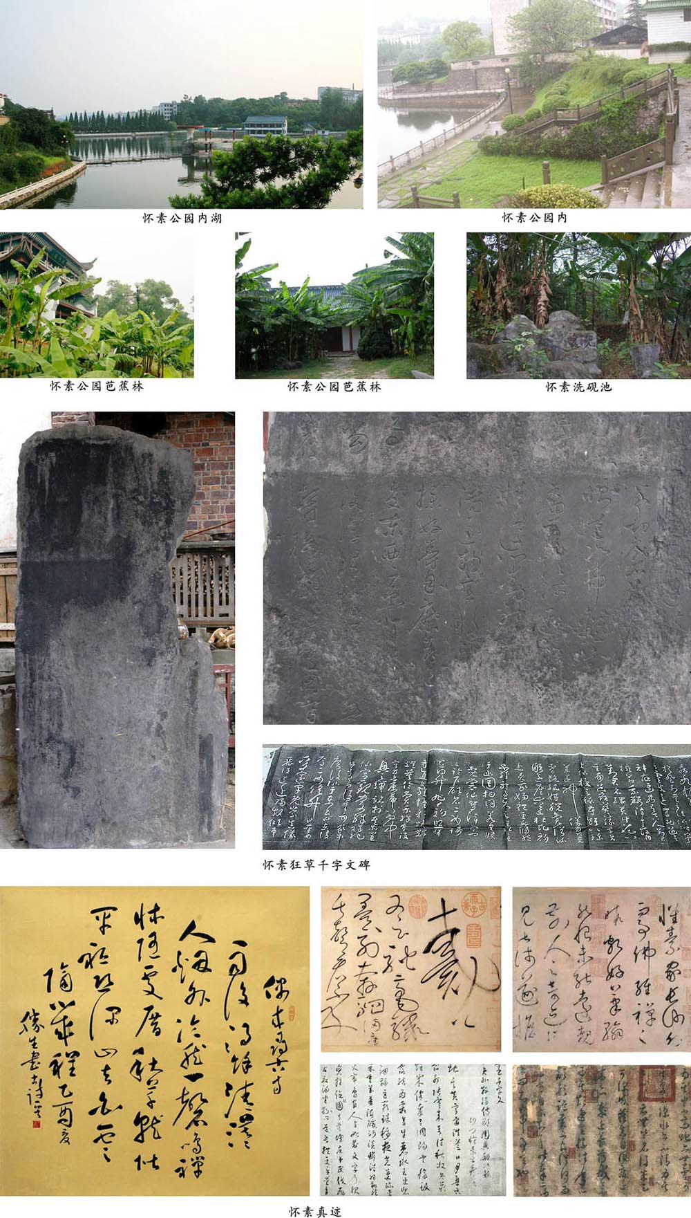 怀素书法
